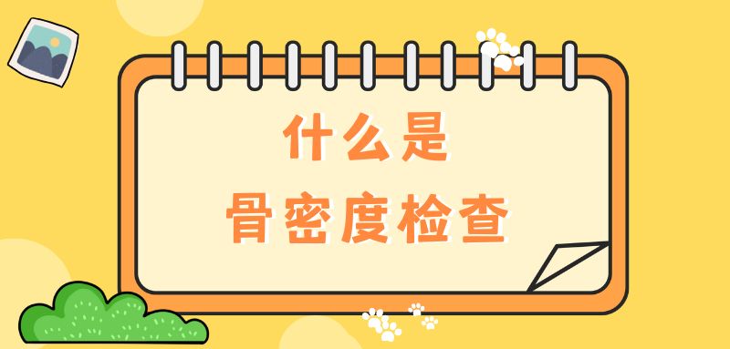 【雙能x線骨密度儀】什么是骨密度檢查？該怎么查？